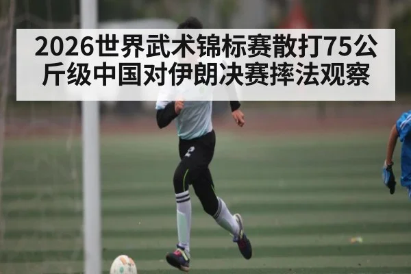 2026世界武术锦标赛散打75公斤级中国对伊朗决赛摔法观察